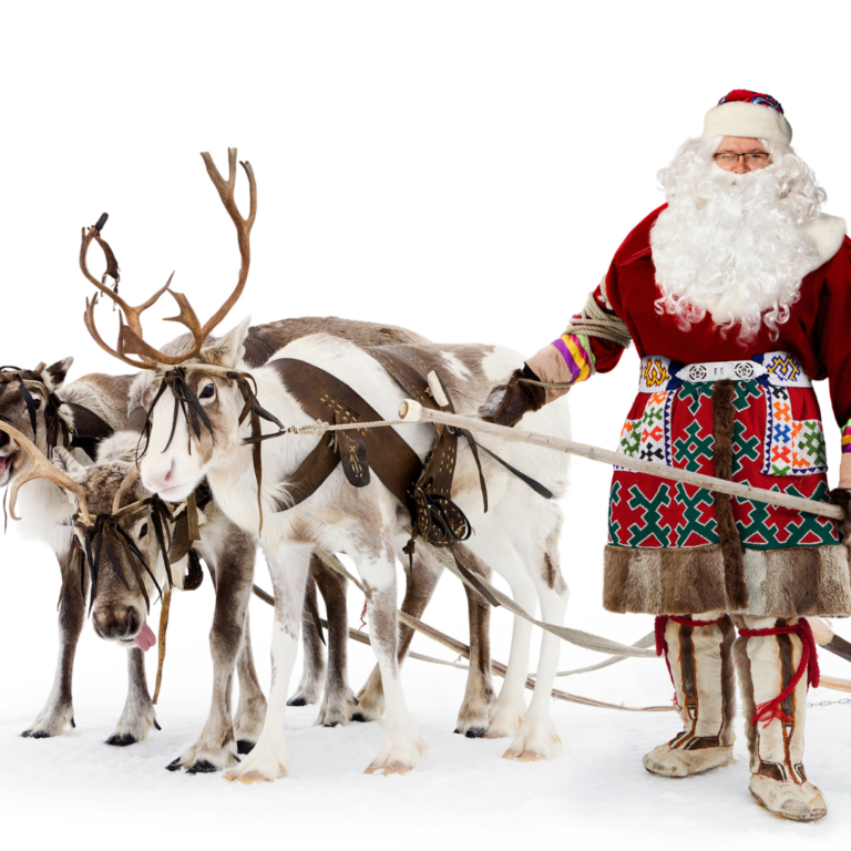En la foto se ve a Santa con su trineo y sus renos.