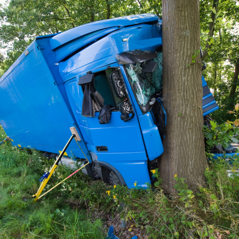 En la foto se ve un camión de color azul que impactó contra un árbol.