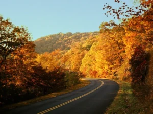 Los mejores recorridos de otoño en Estados Unidos