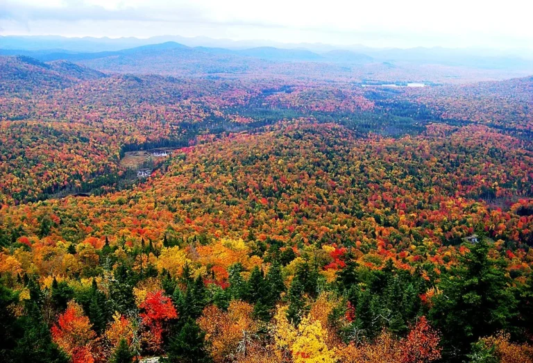 The best fall road trips in the U.S.