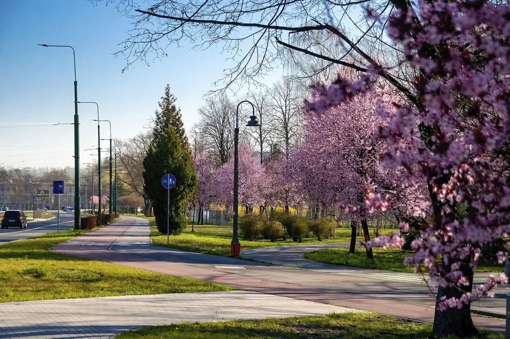 First day of spring: what is the equinox and how can we embrace it?